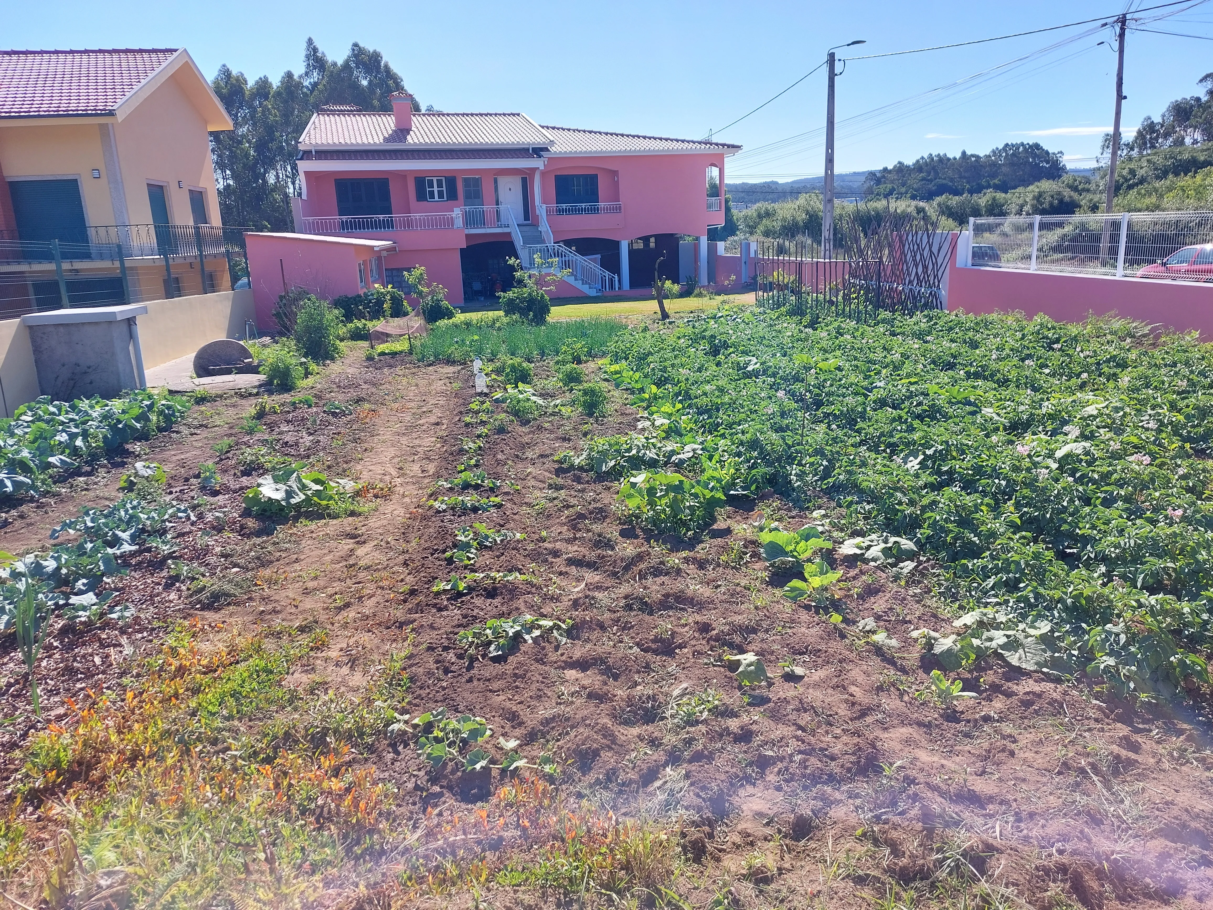 Garten in Macoera