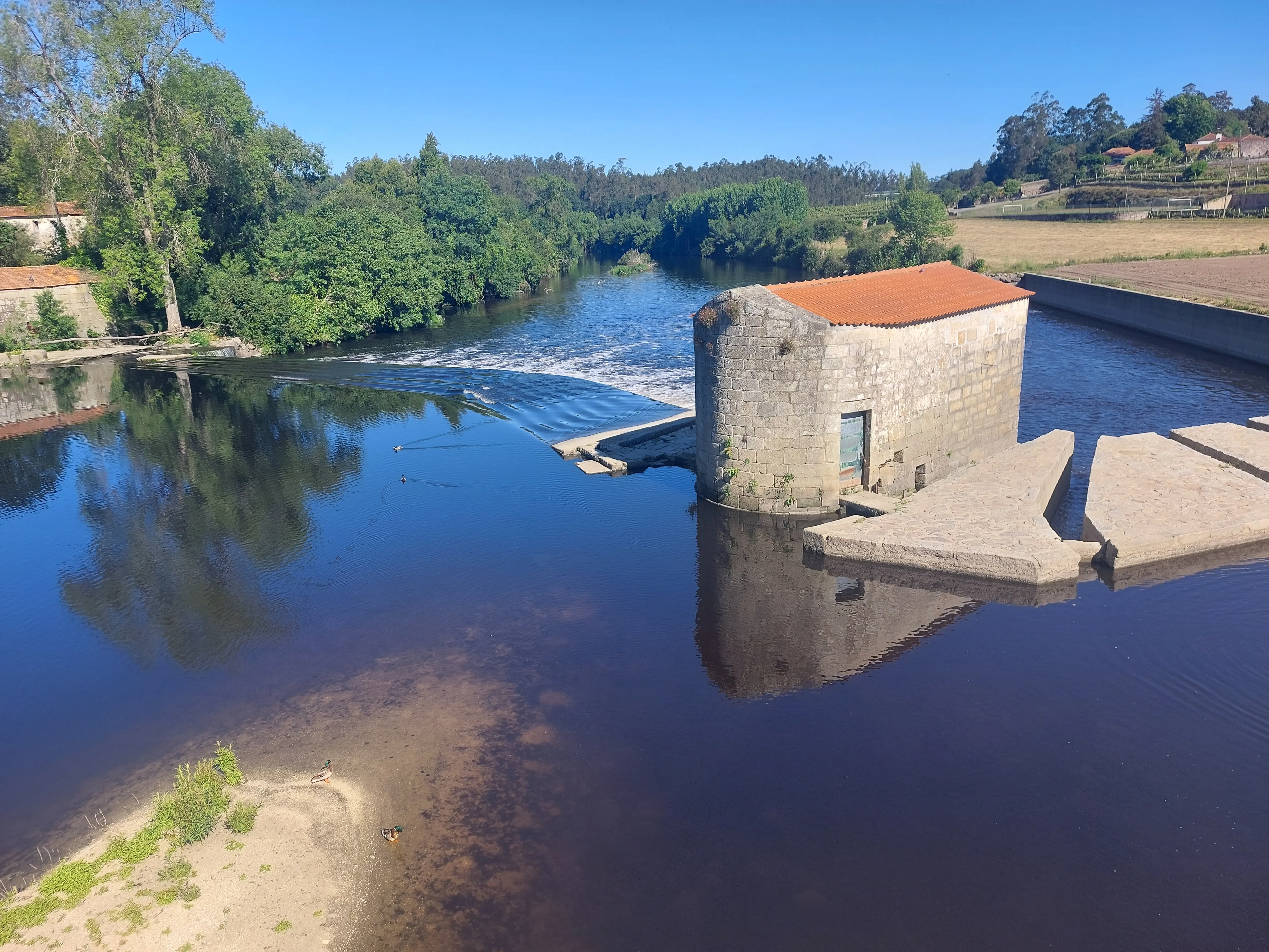 Ponte