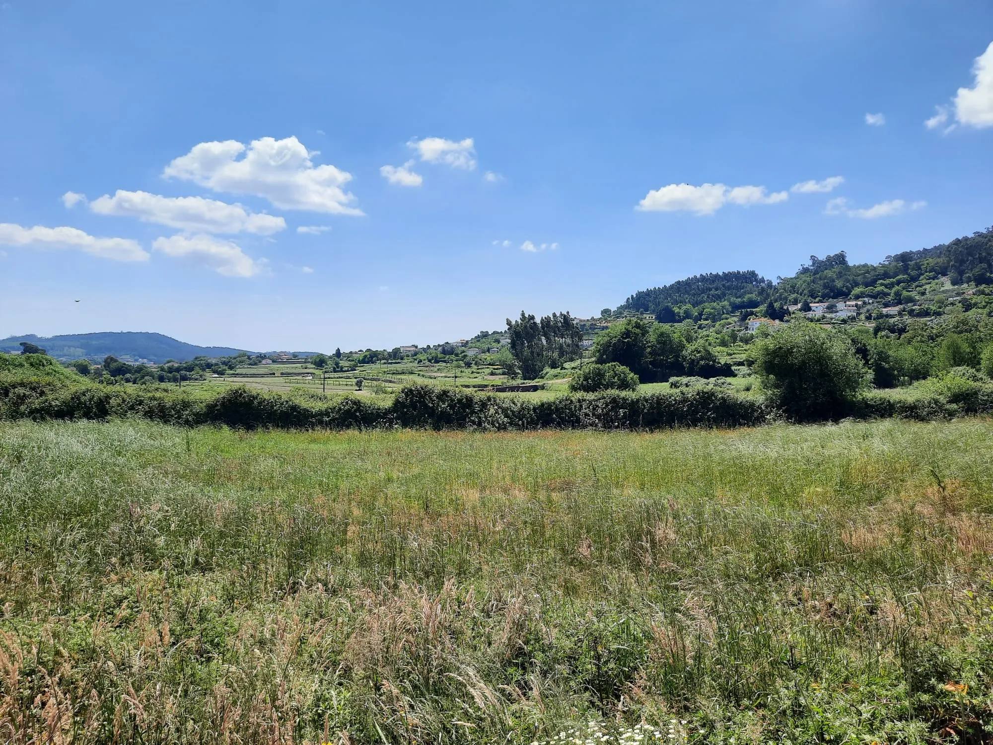 Auf dem Weg nach Piaes